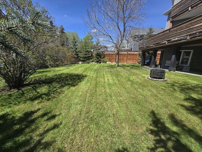 Lawn mowing and care